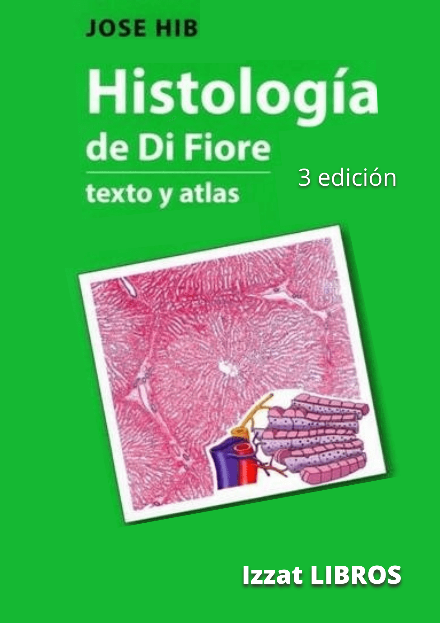 Di Fiore - Histología