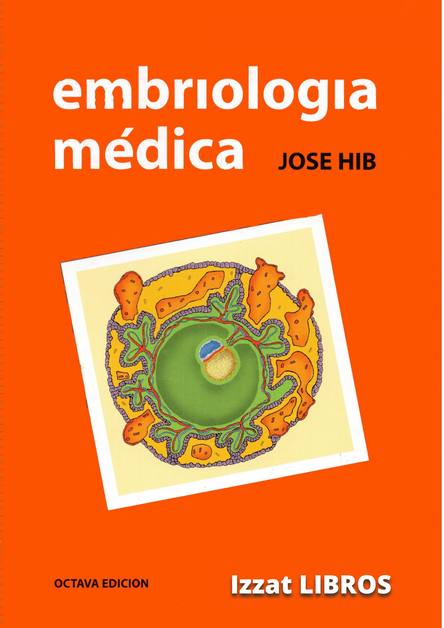HIB - Embriología
