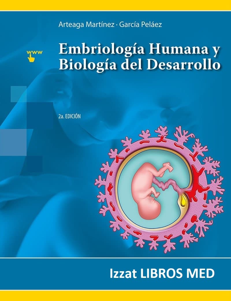 Netter - Atlas de Anatomía