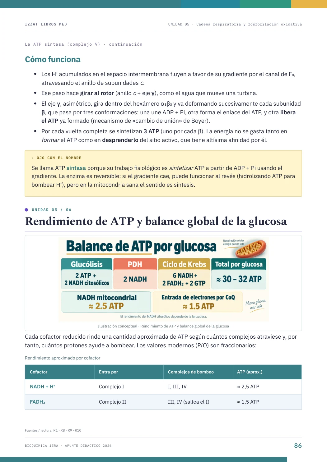 Página real seleccionada de Apunte Bioquímica 1ª ERA