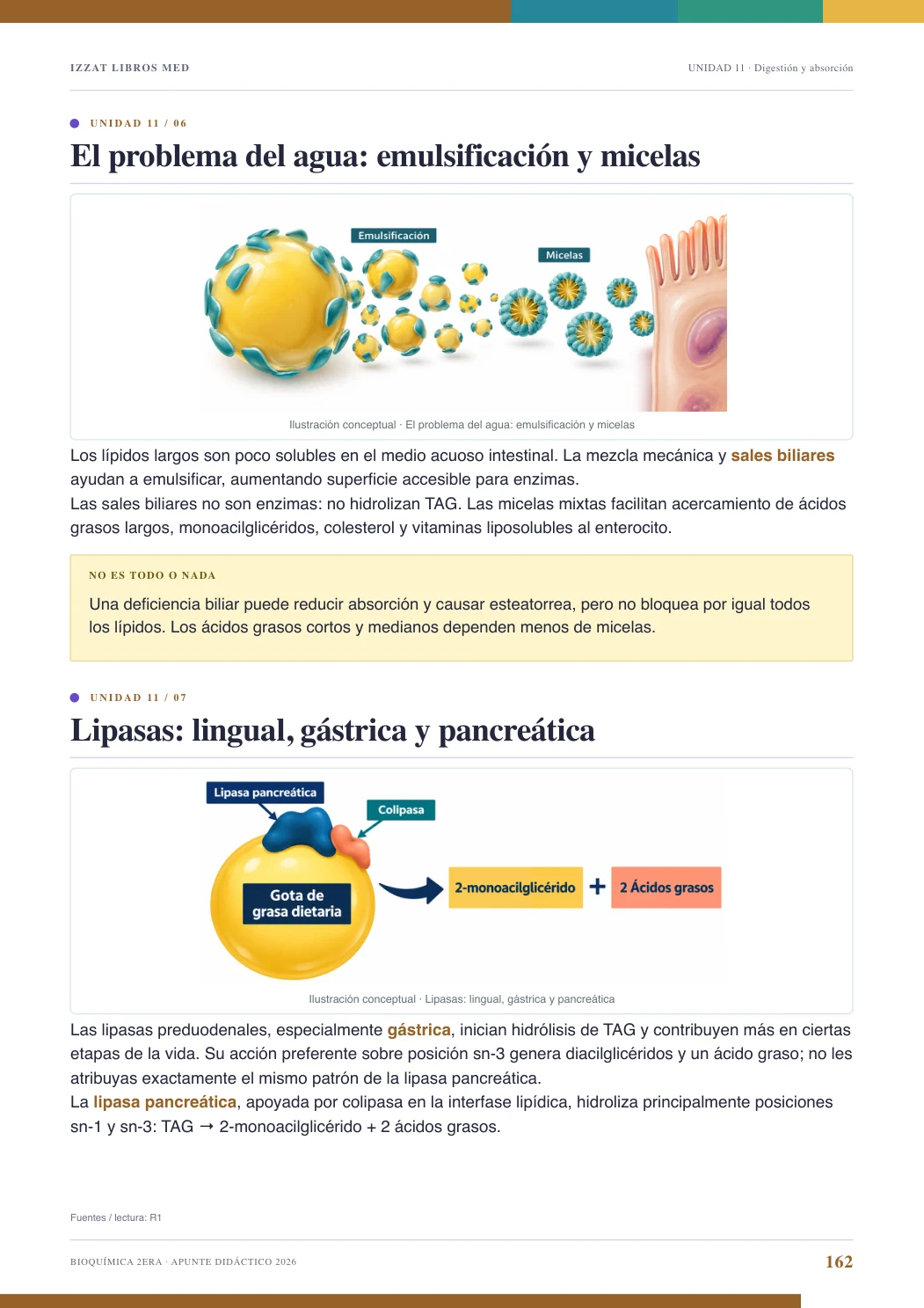 Página real seleccionada de Apunte Bioquímica 2ª ERA