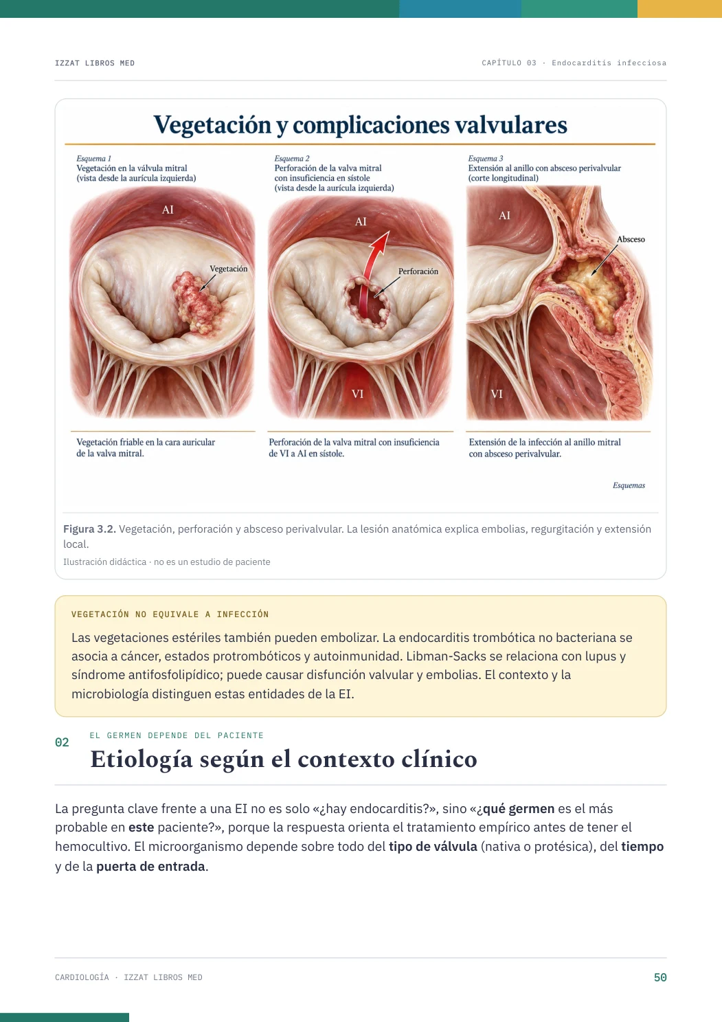 Página real seleccionada de Cardiología