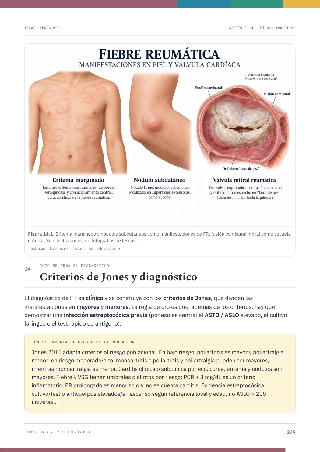 Página real seleccionada de Cardiología