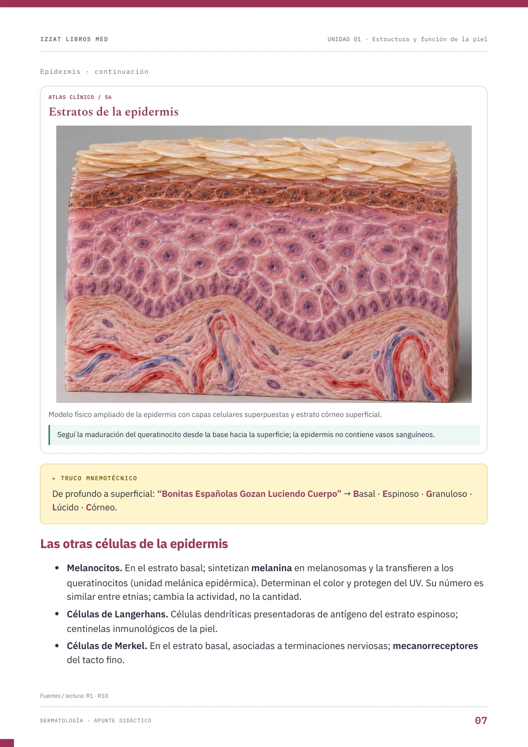 Página real seleccionada de Dermatología
