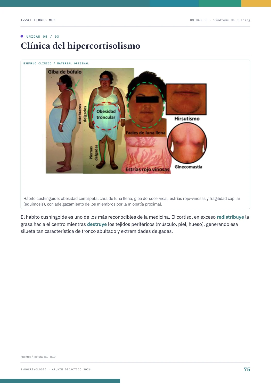 Página real seleccionada de Endocrinología