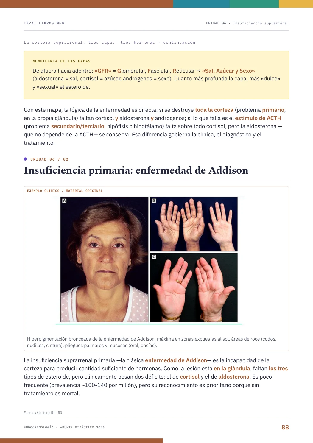 Página real seleccionada de Endocrinología