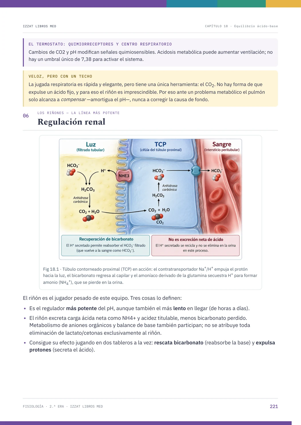 Página real seleccionada de Apunte Fisiología 2ª ERA