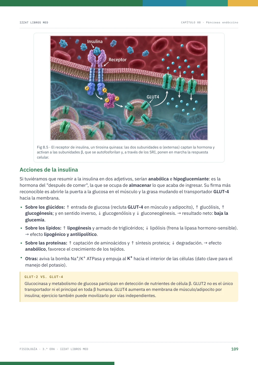 Página real seleccionada de Apunte Fisiología 3ª ERA