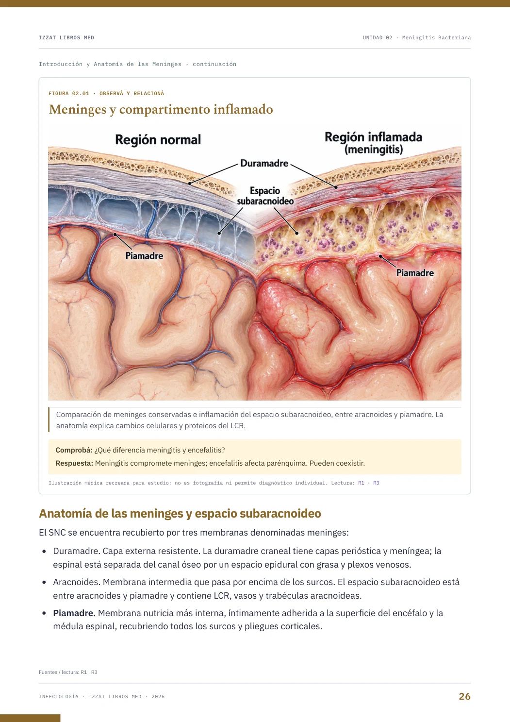 Página real seleccionada de Infectología