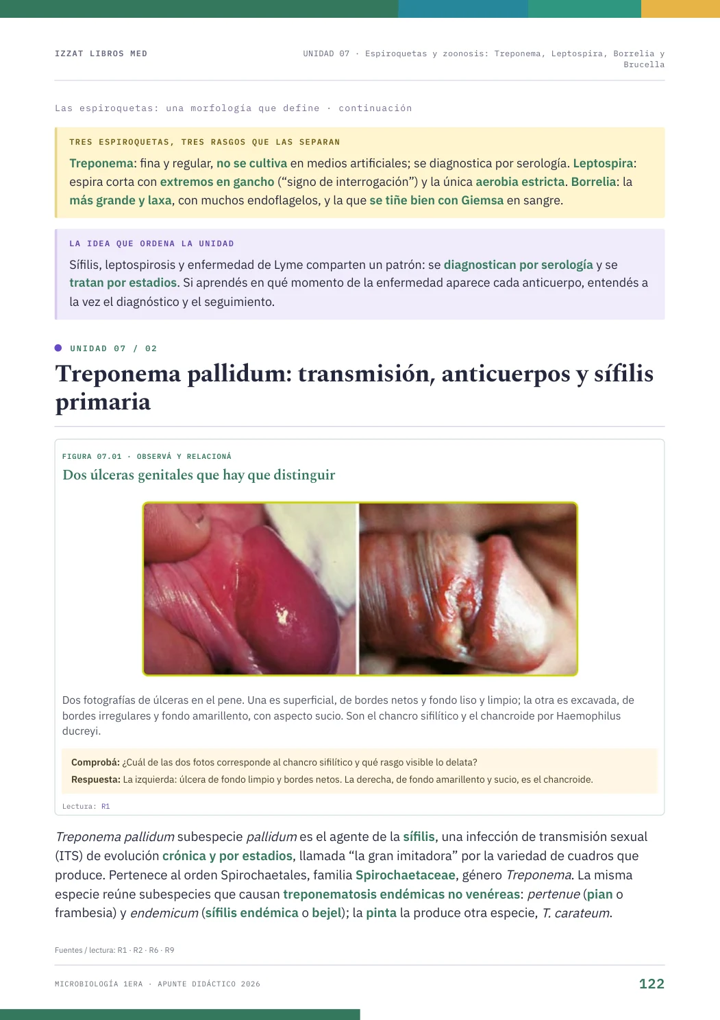 Página real seleccionada de Apunte Microbiología 1ª ERA