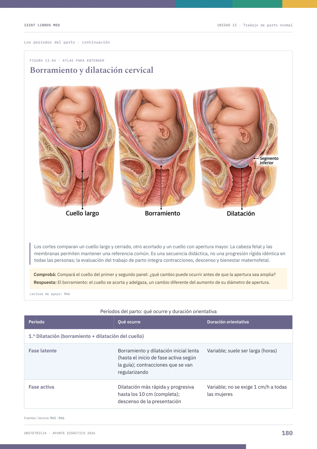 Página real seleccionada de Obstetricia