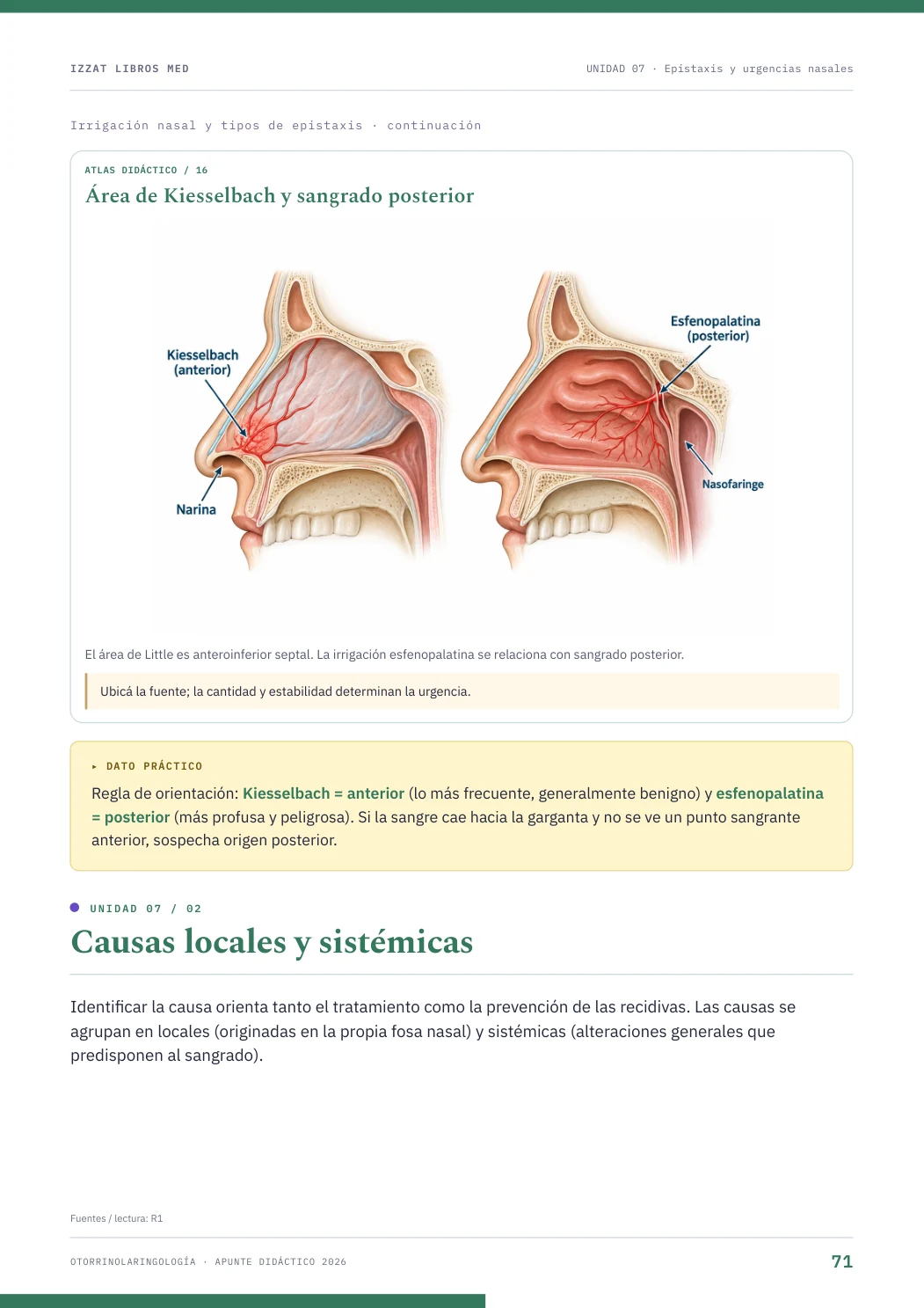Página real seleccionada de Otorrinolaringología