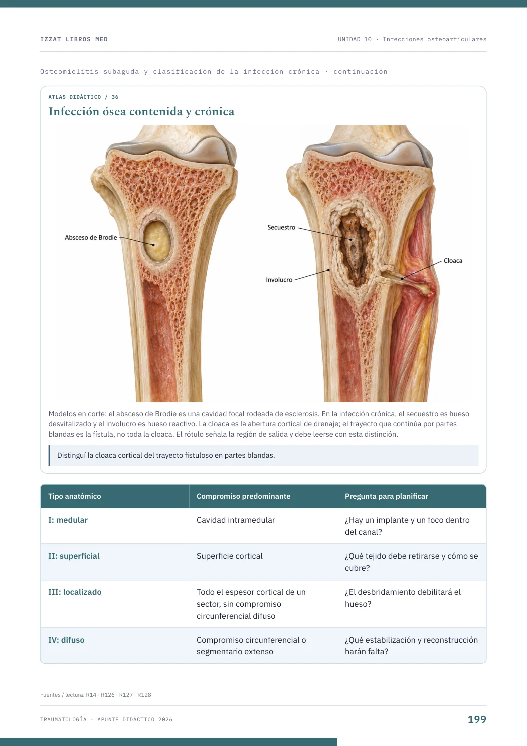 Página real seleccionada de Traumatología