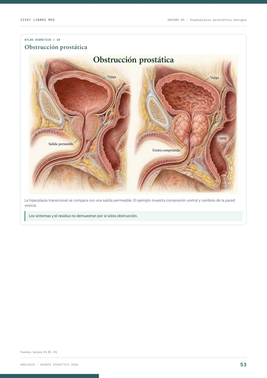 Página real seleccionada de Urología