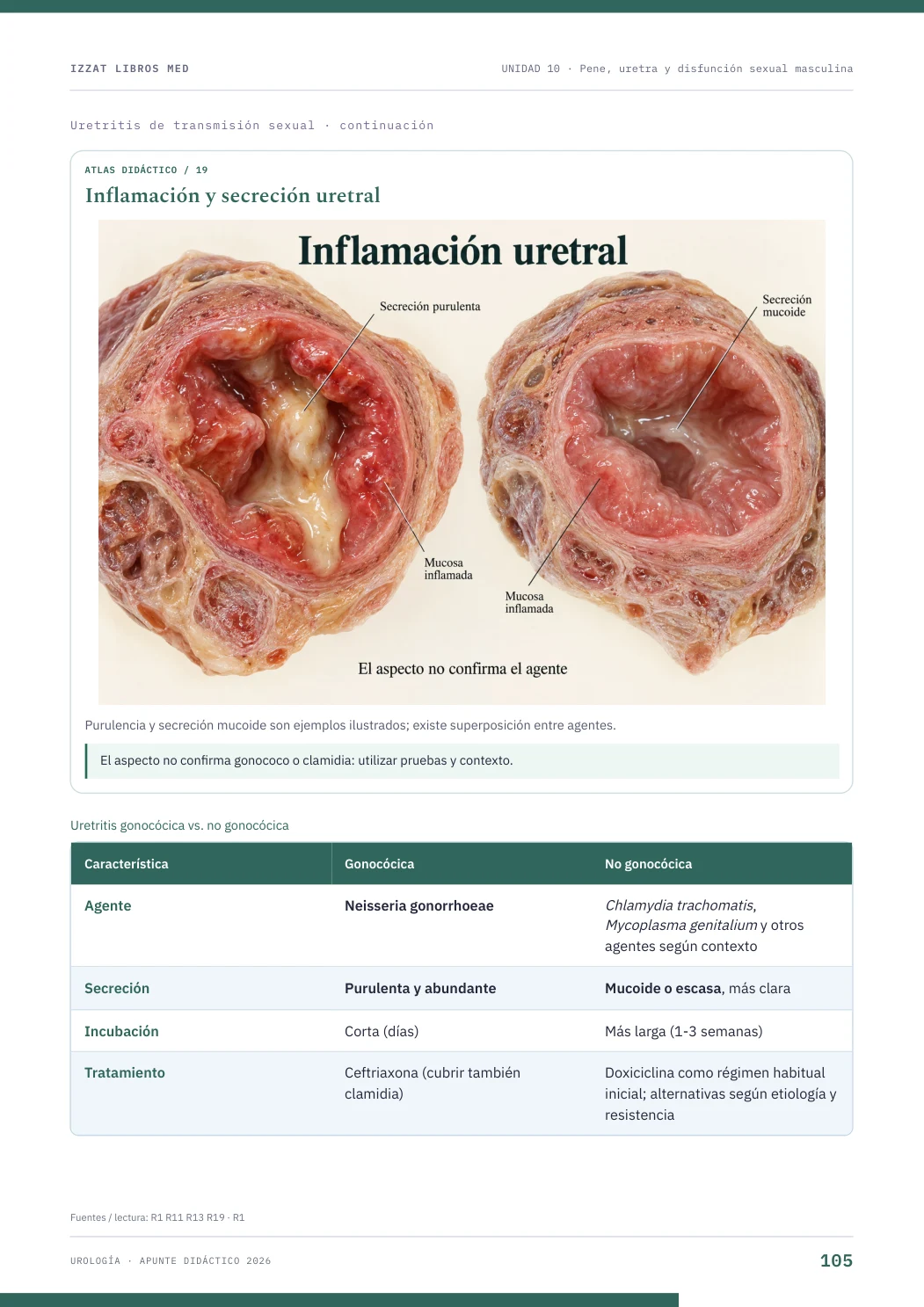 Página real seleccionada de Urología