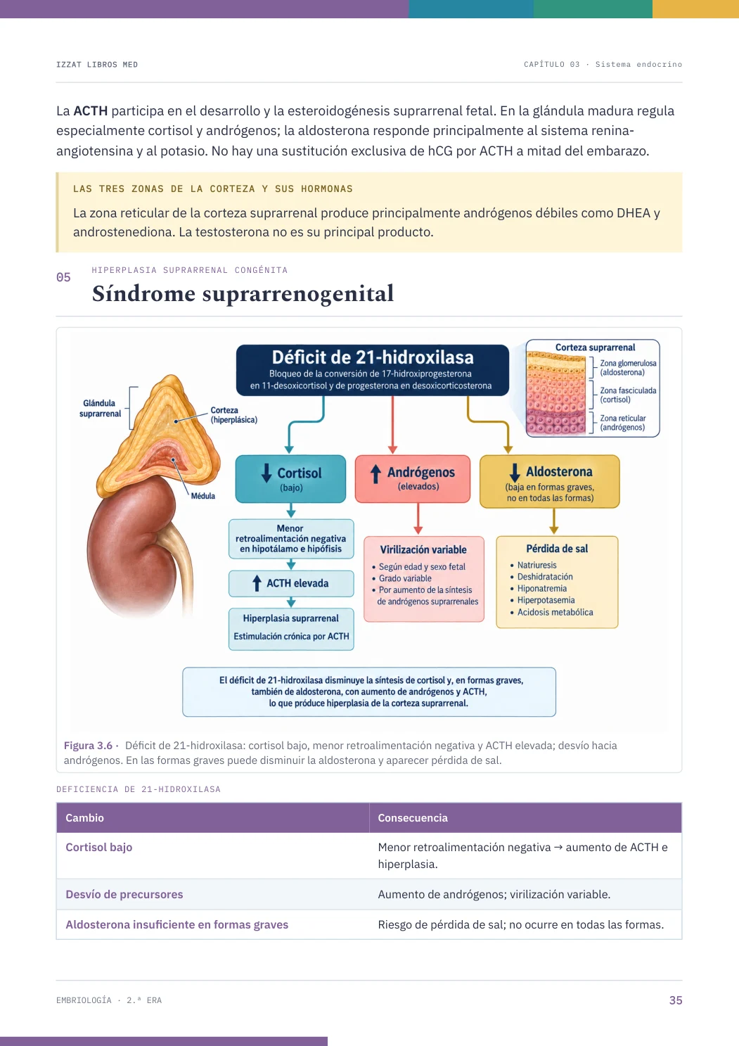 Página real seleccionada de Embriología 2ª ERA
