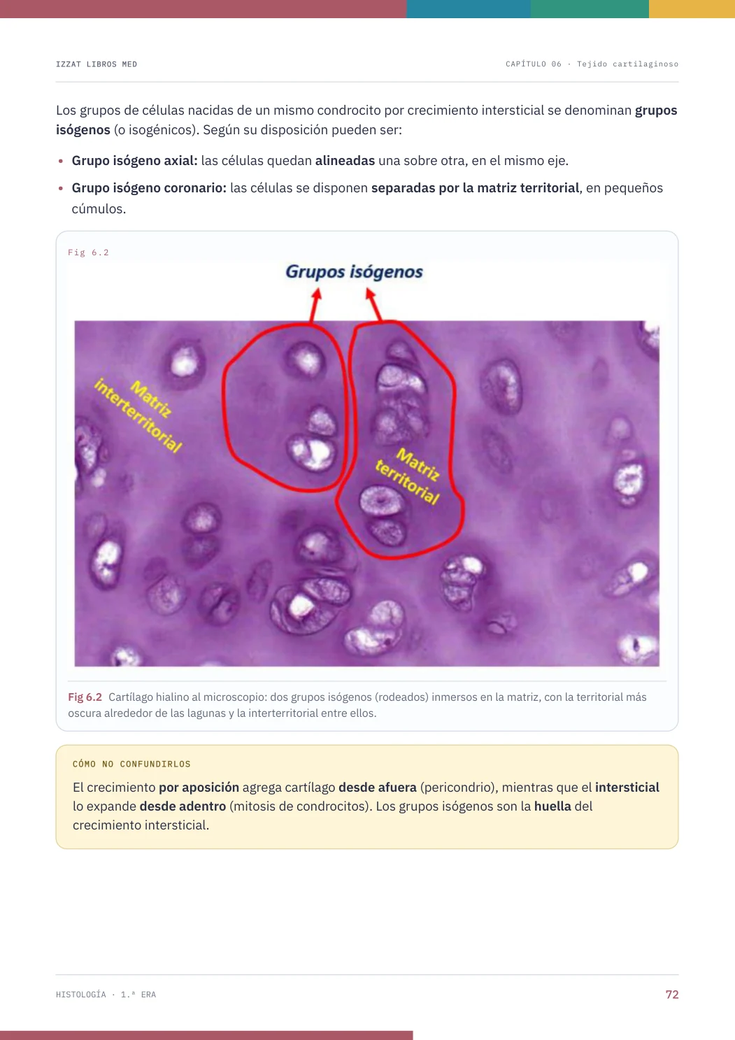 Página real seleccionada de Histología 1ª ERA