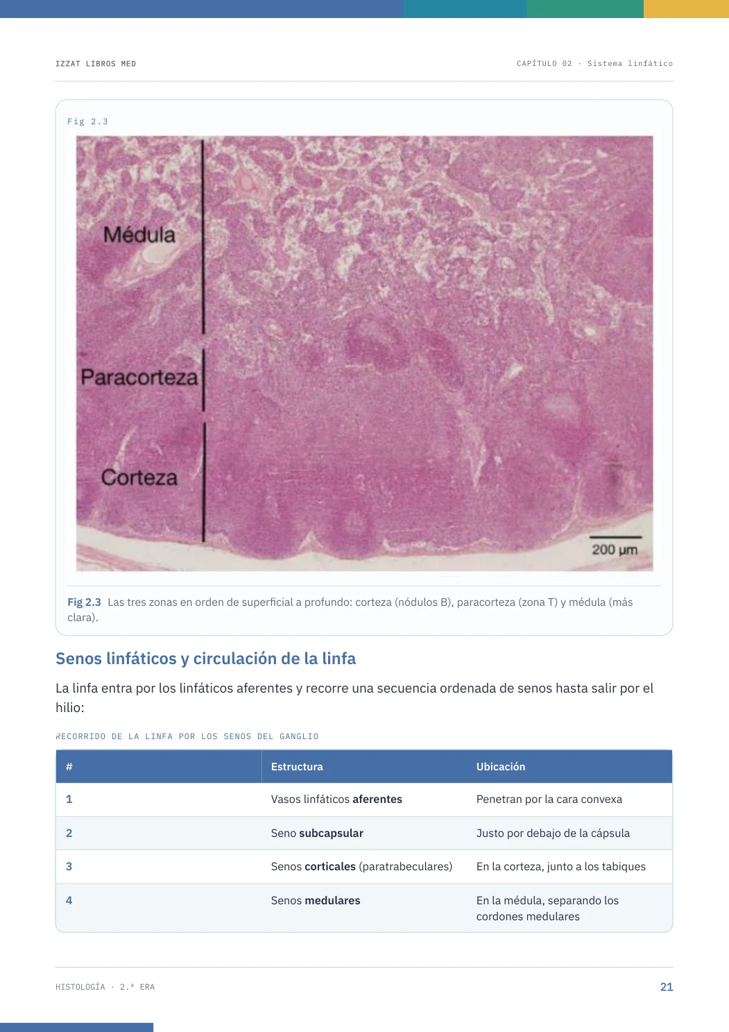 Página real seleccionada de Histología 2ª ERA