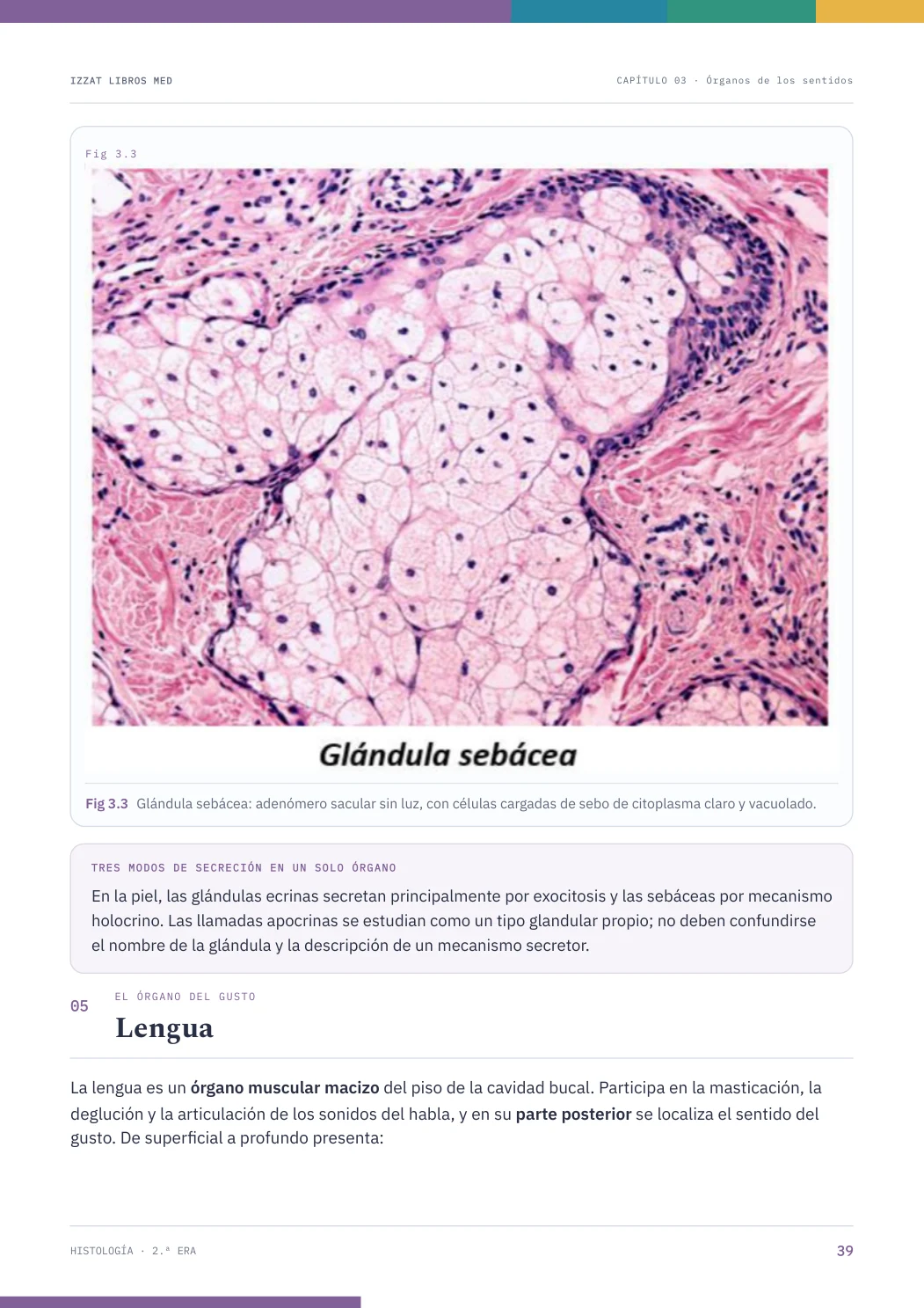 Página real seleccionada de Histología 2ª ERA