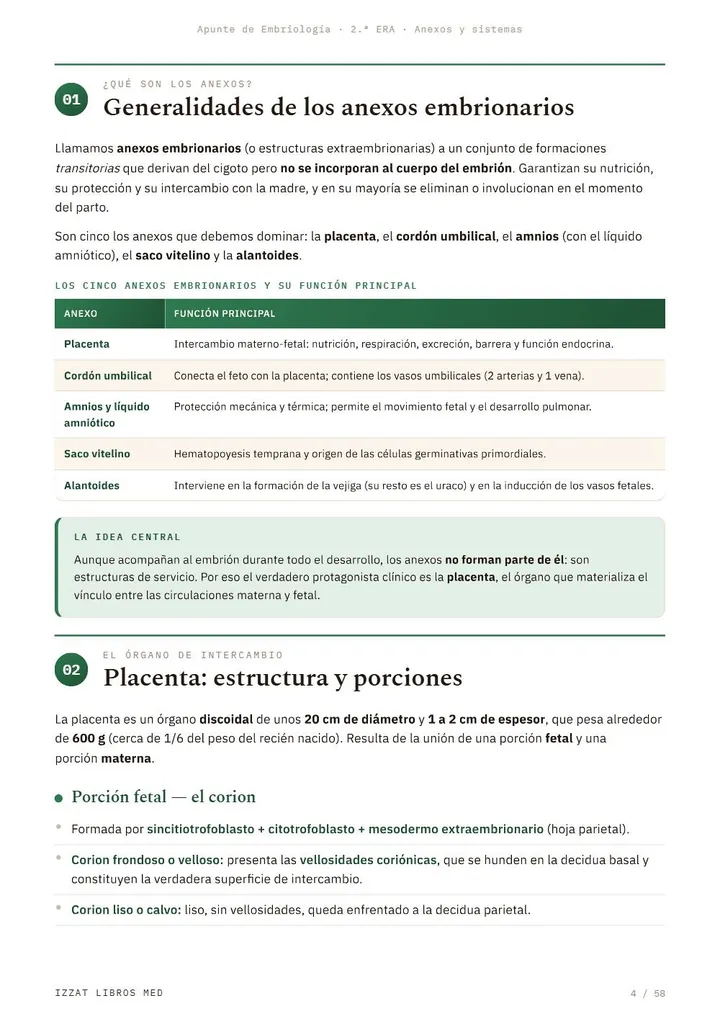 Antes: página de Embriología de la edición anterior, solo texto