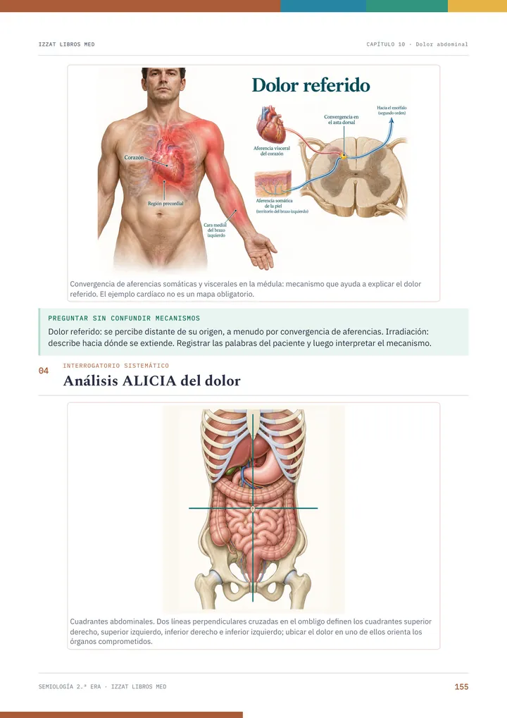 Semiología: dolor referido y análisis ALICIA
