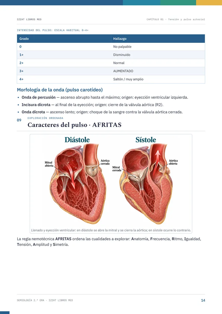 Semiología: caracteres del pulso (AFRITAS), diástole y sístole