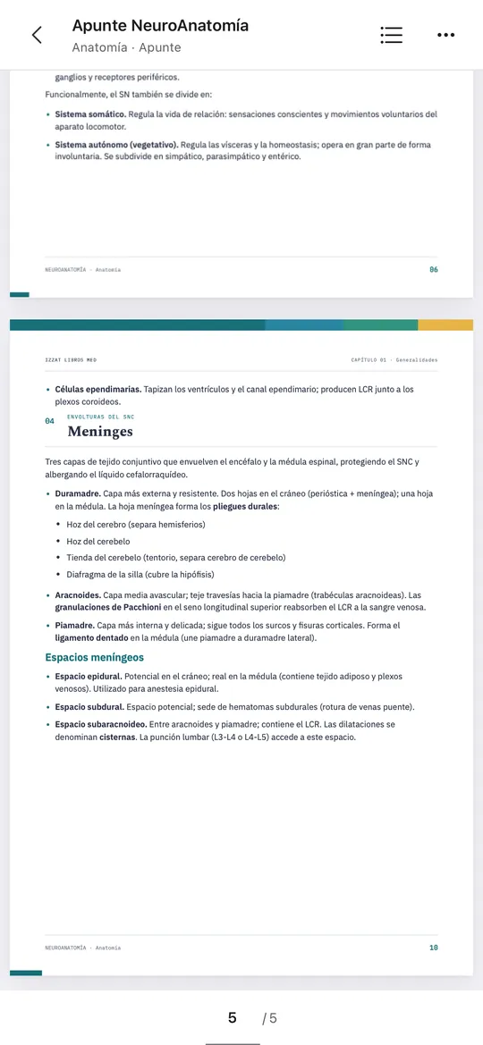 Lector de la Biblioteca Médica: página de NeuroAnatomía