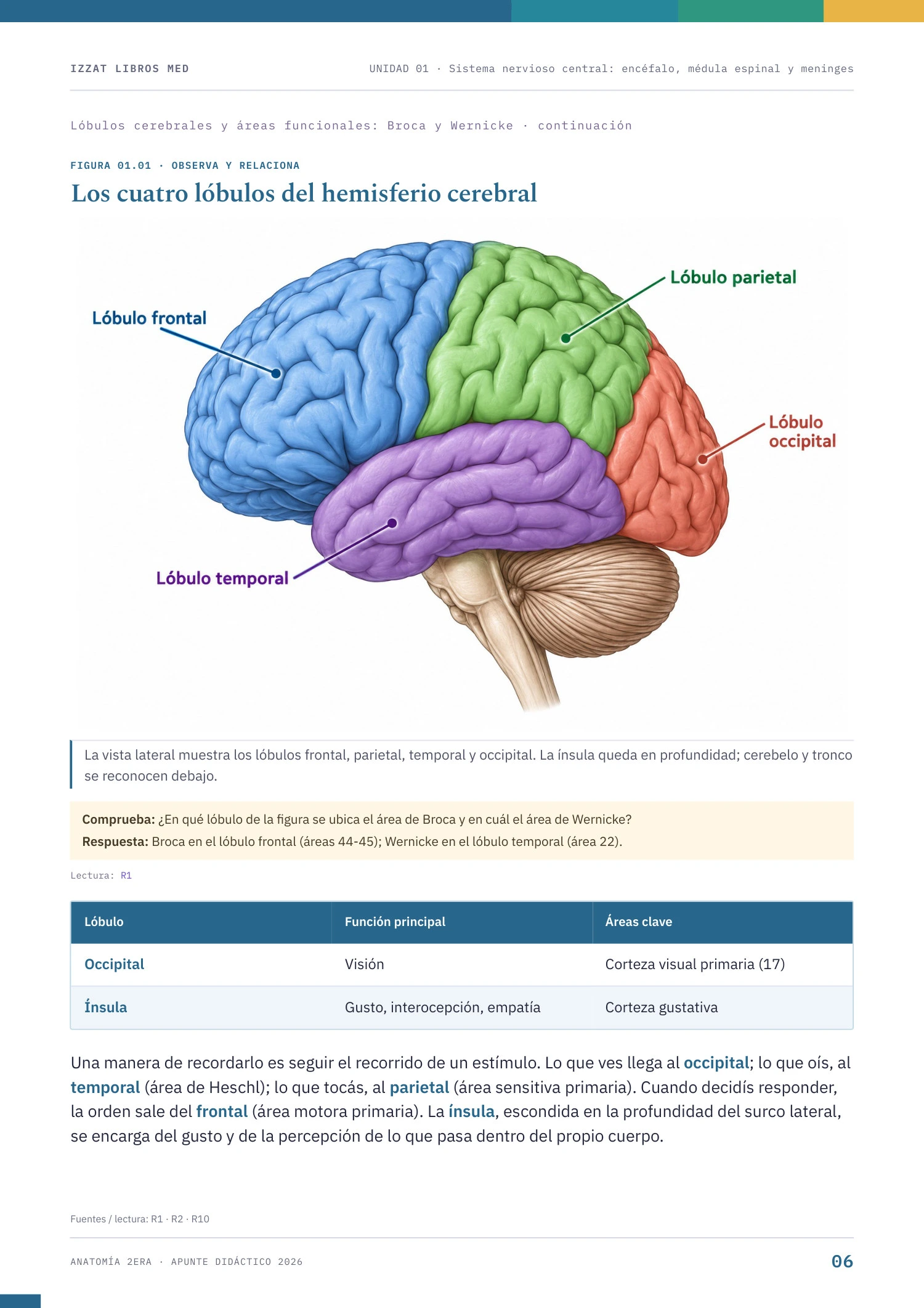 Página real de Anatomía 2ª ERA
