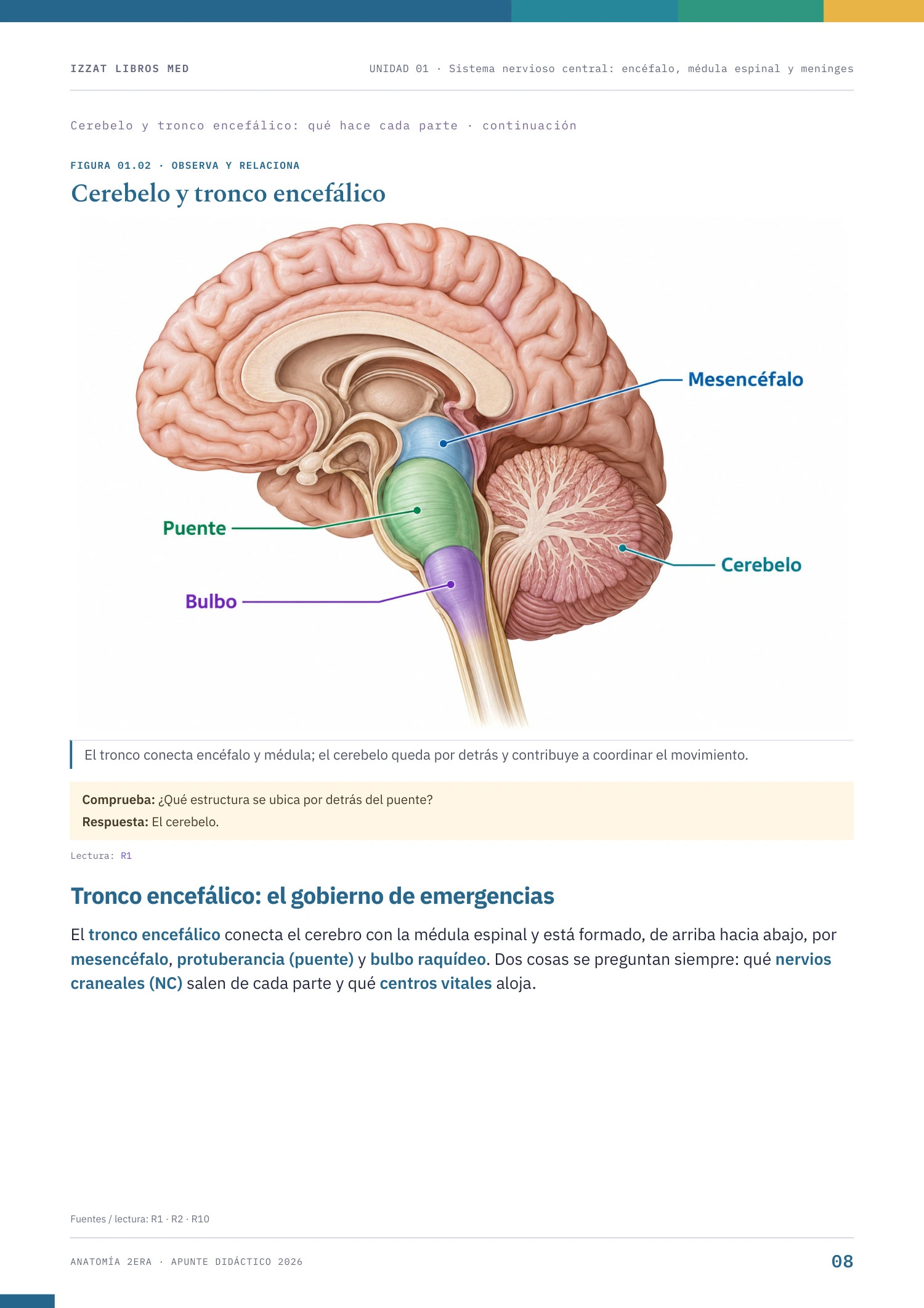 Página real de Anatomía 2ª ERA