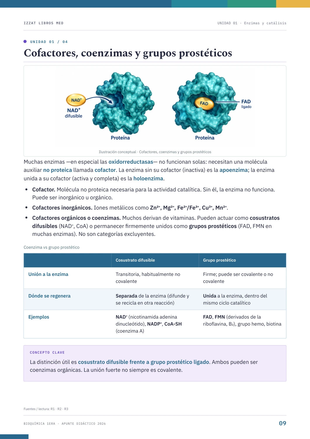 Página real de Apunte Bioquímica 1ª ERA