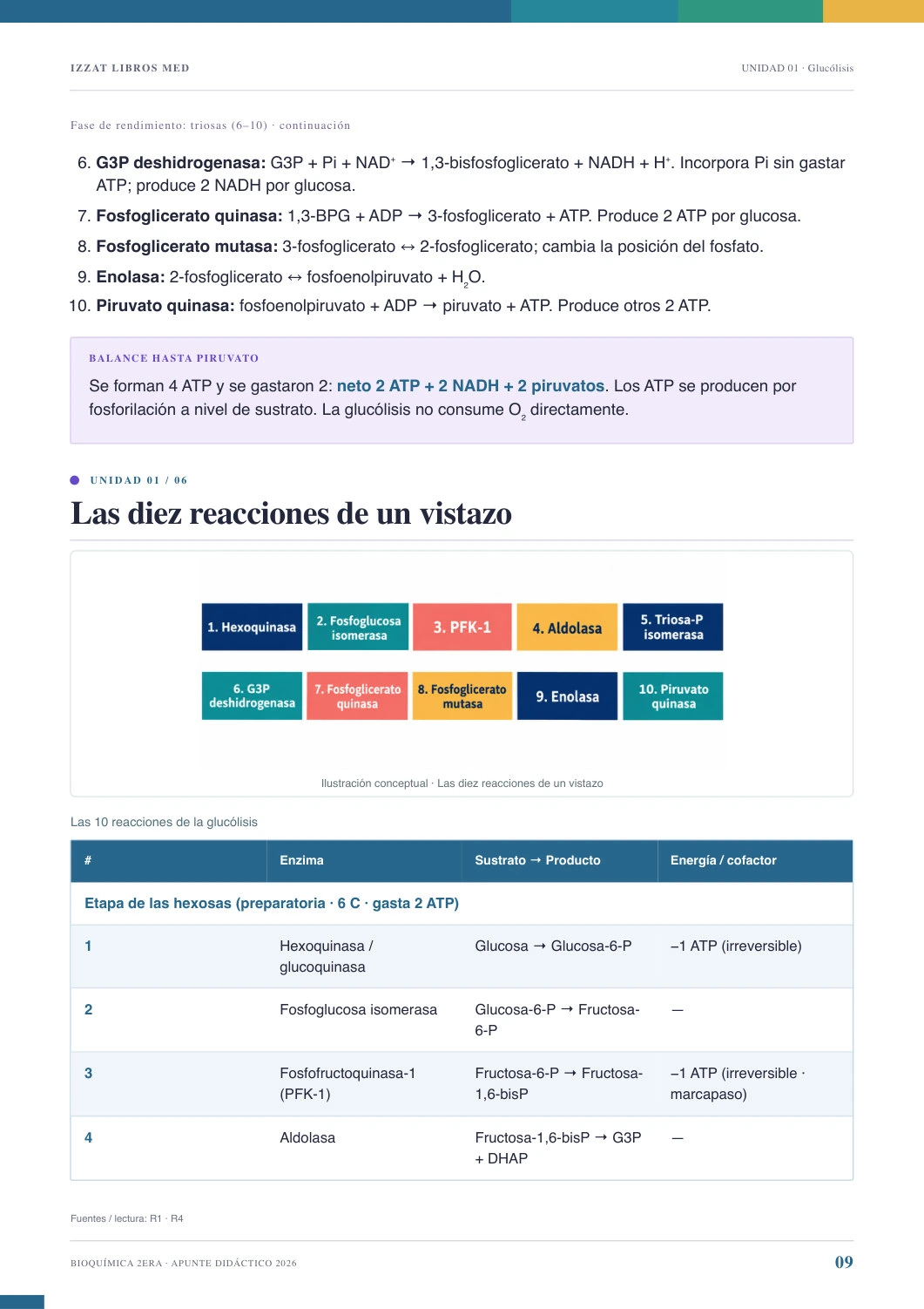 Página real de Apunte Bioquímica 2ª ERA
