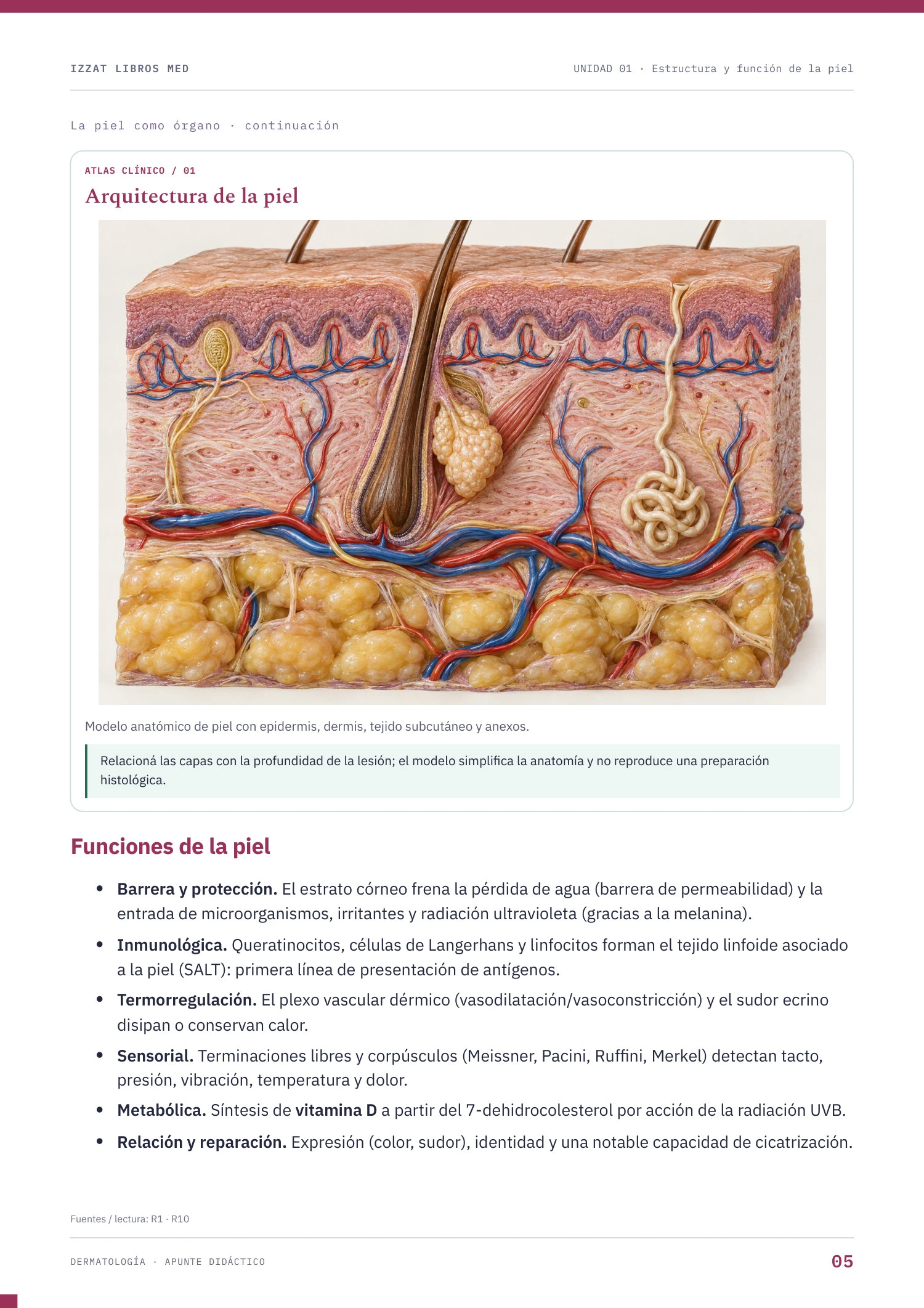 Página real de Dermatología