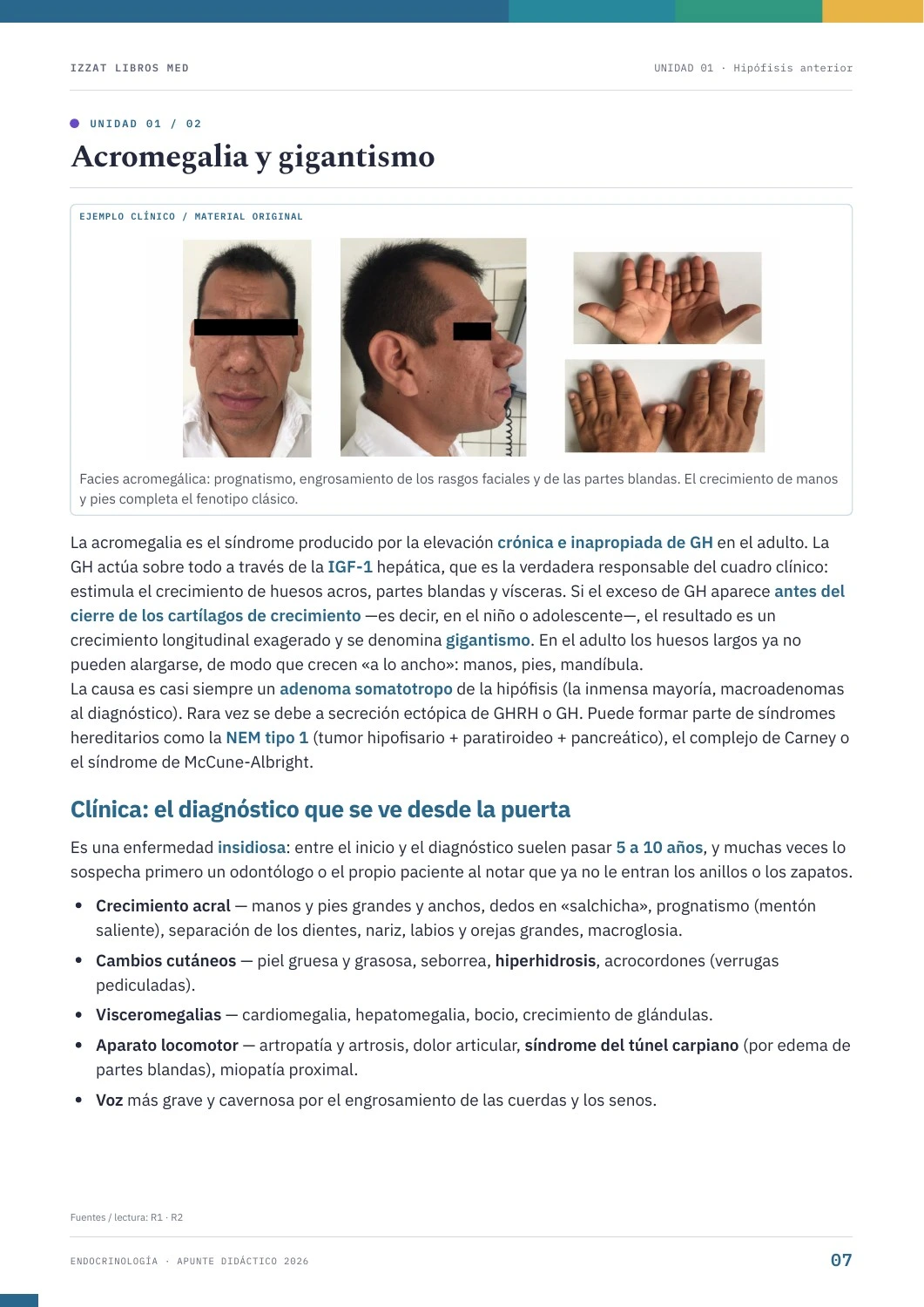 Página real de Endocrinología