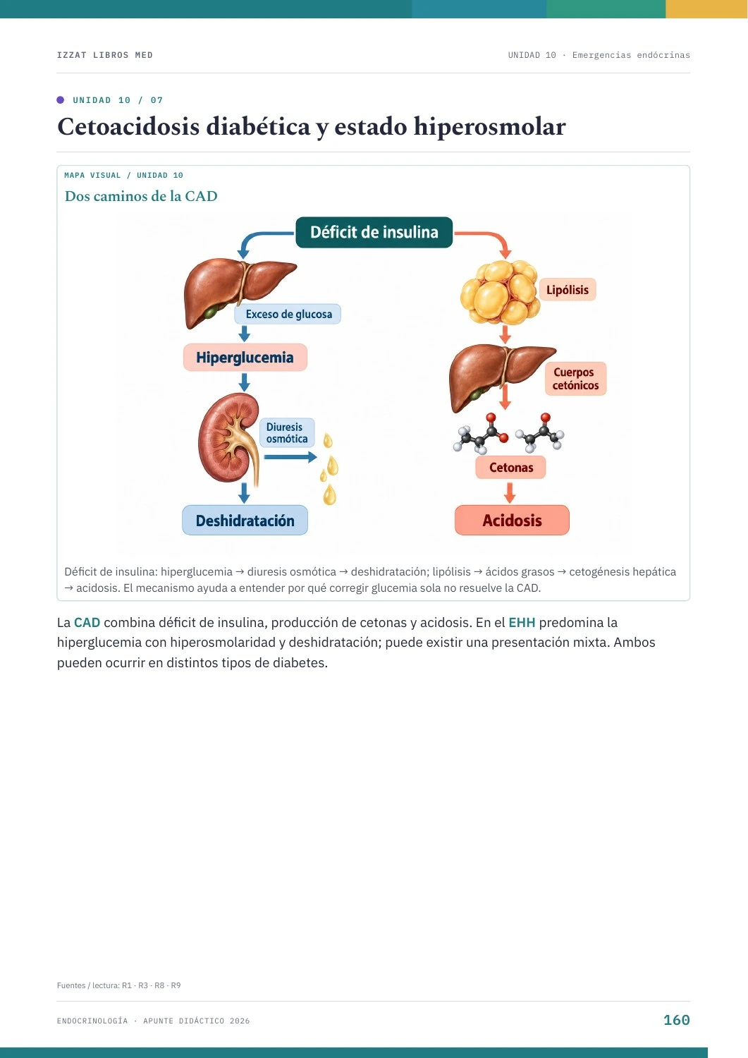 Página real de Endocrinología