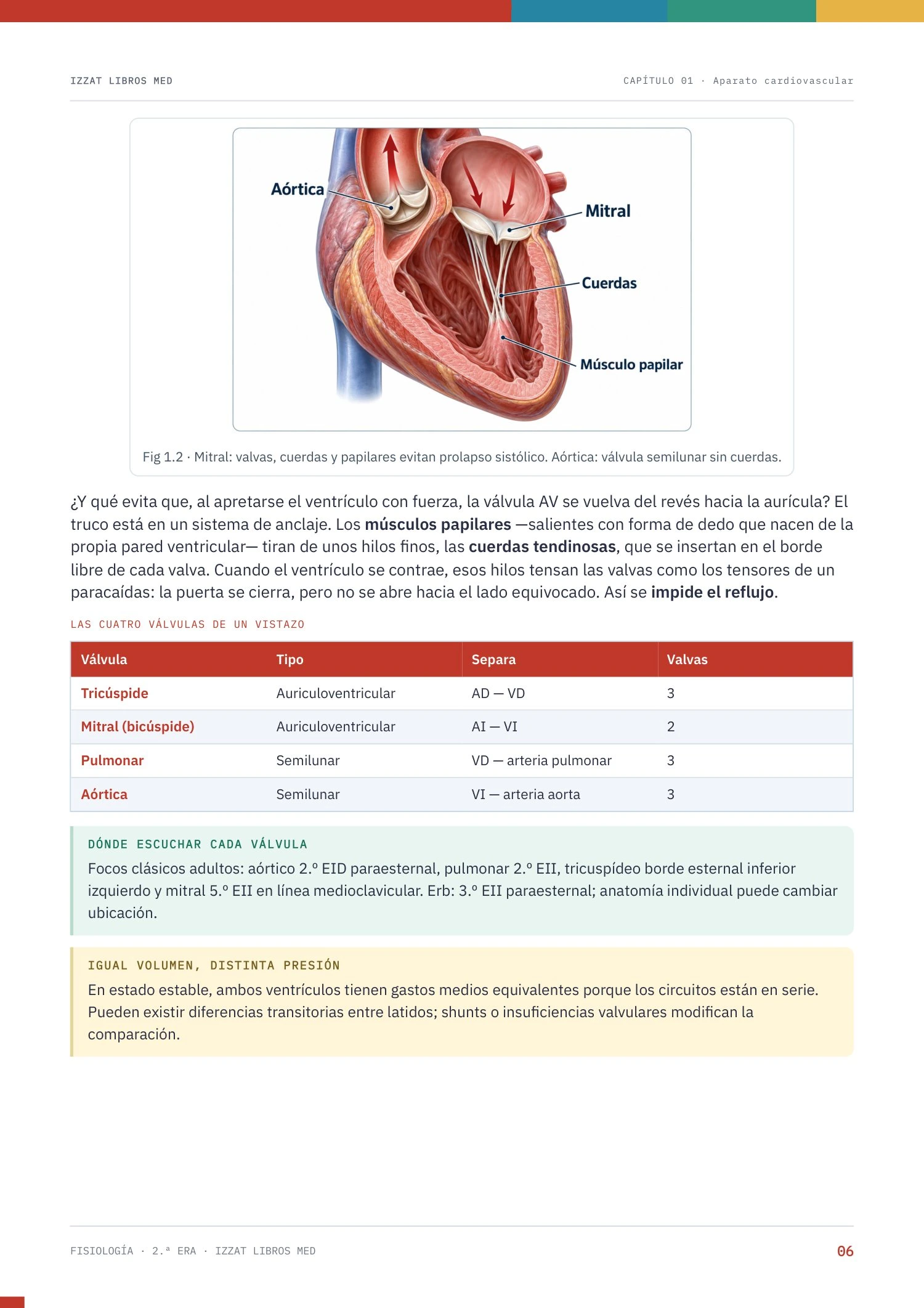 Página real de Apunte Fisiología 2ª ERA