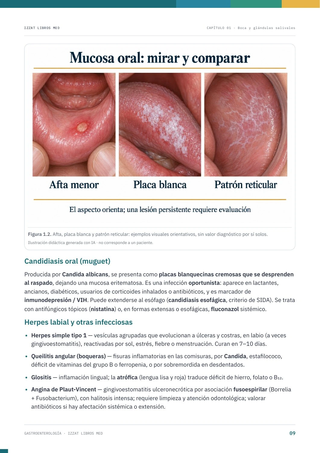 Página real de Gastroenterología