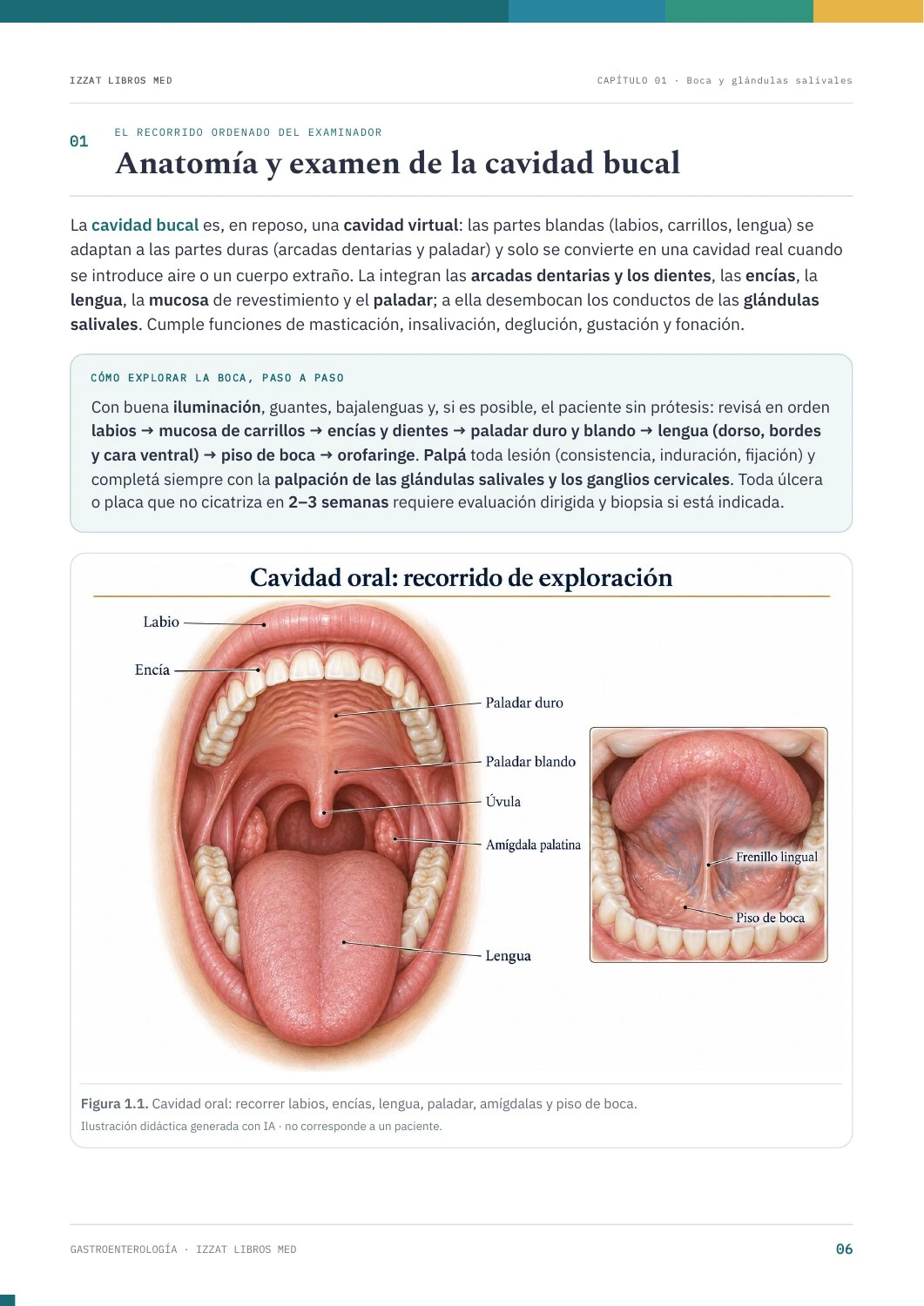 Página real de Gastroenterología