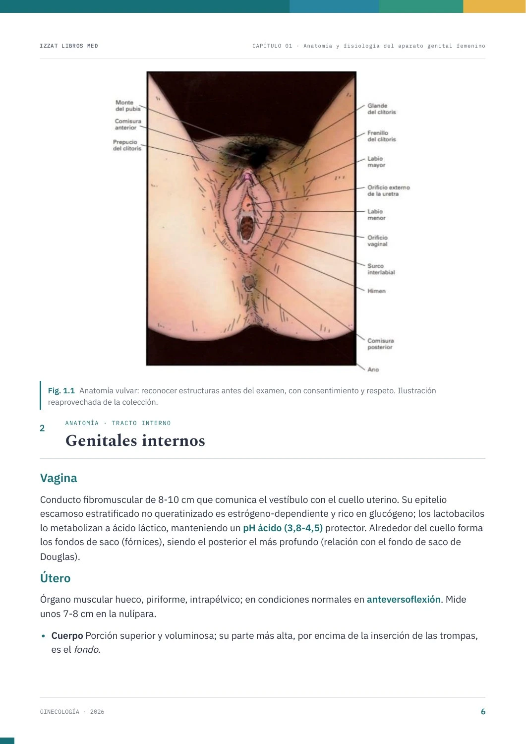 Página real de Ginecología