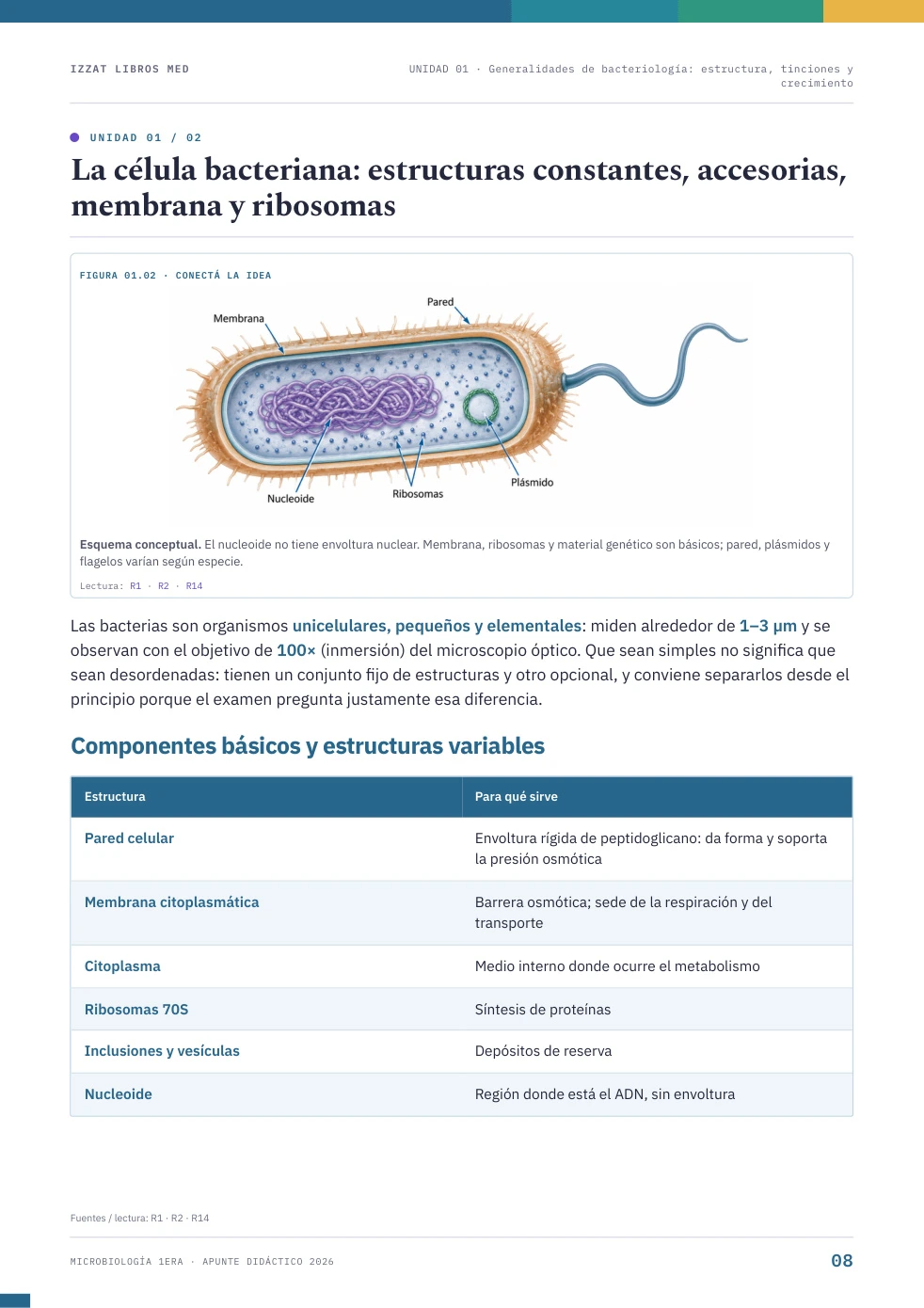 Página real de Apunte Microbiología 1ª ERA