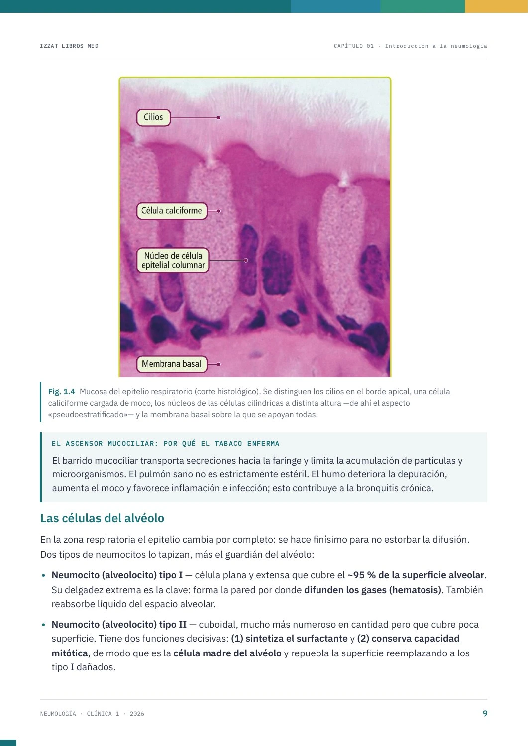 Página real de Neumología