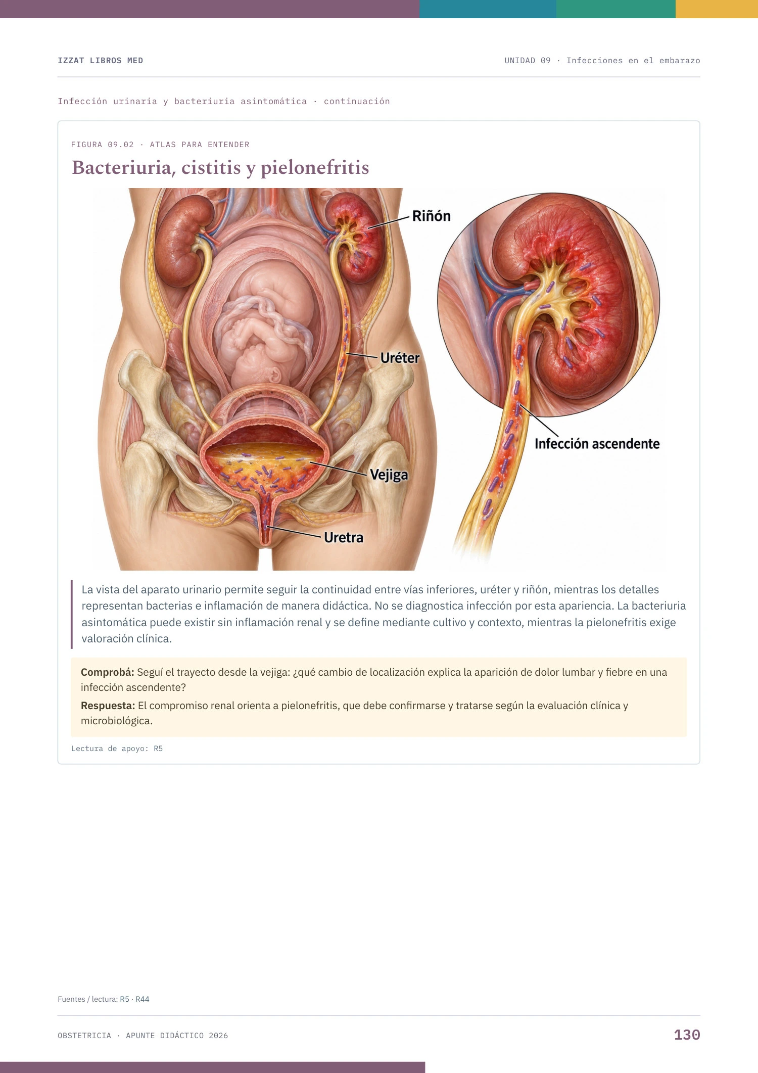 Página real de Obstetricia