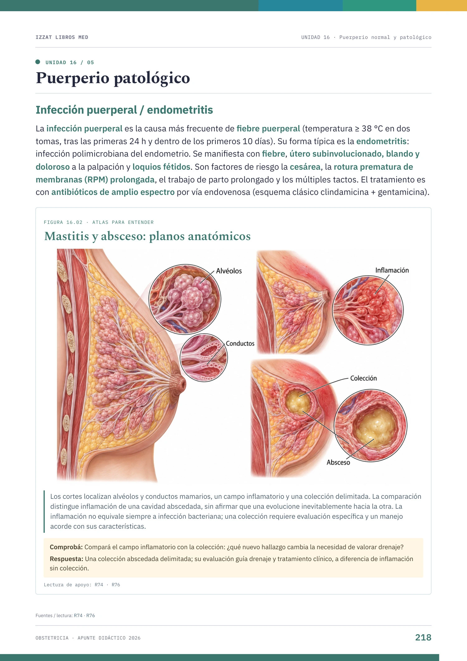 Página real de Obstetricia