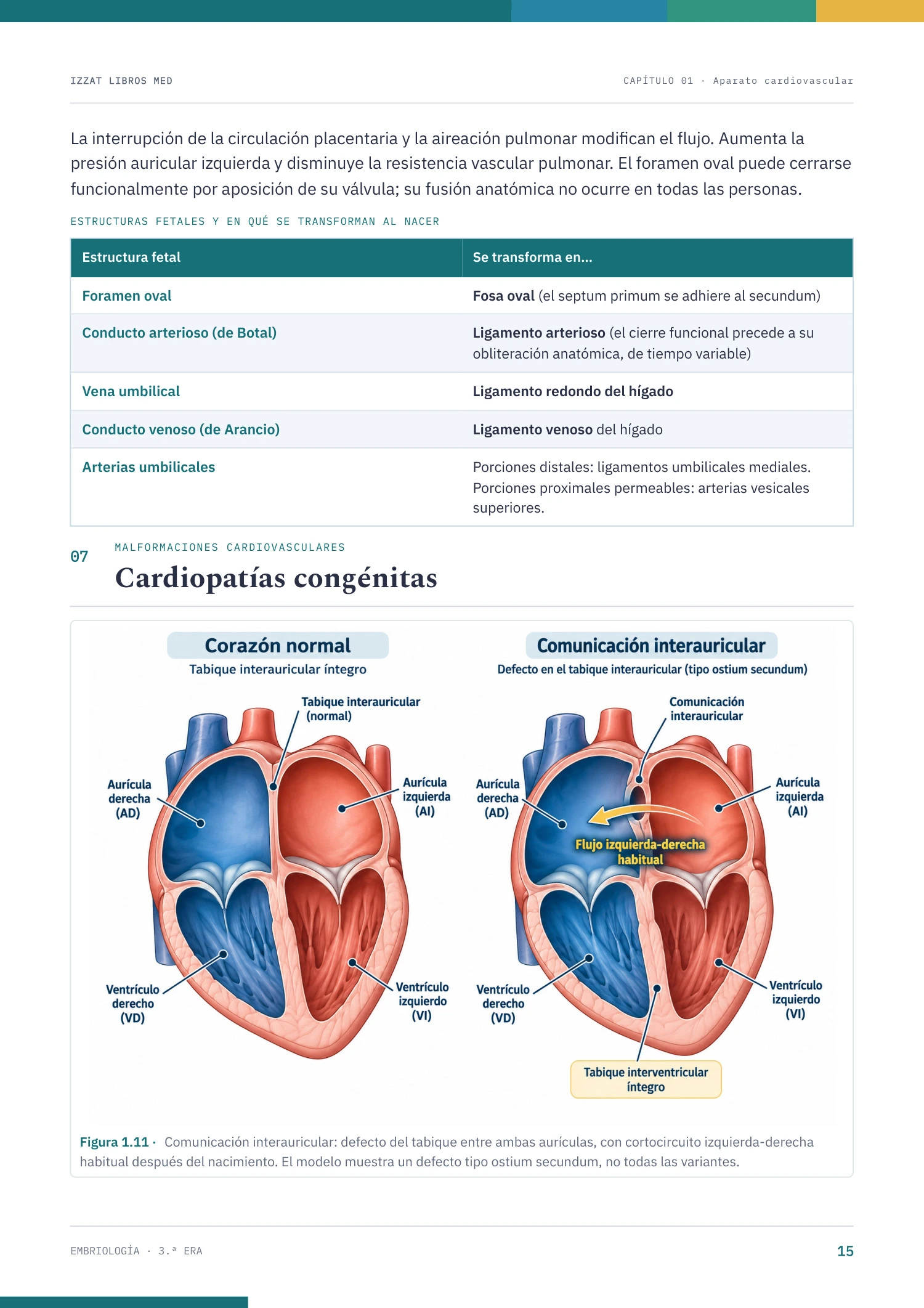 Página real de Embriología 3ª ERA