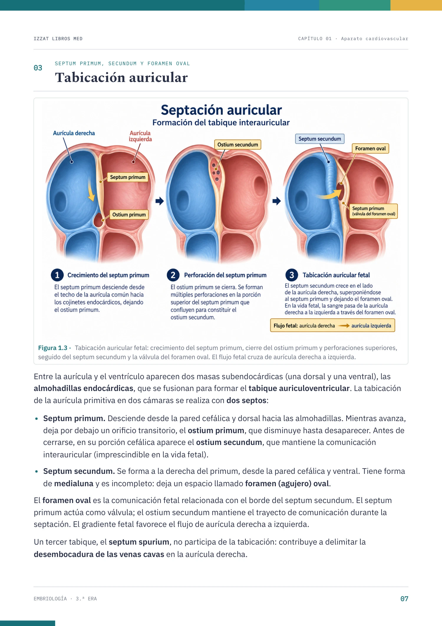 Página real de Embriología 3ª ERA