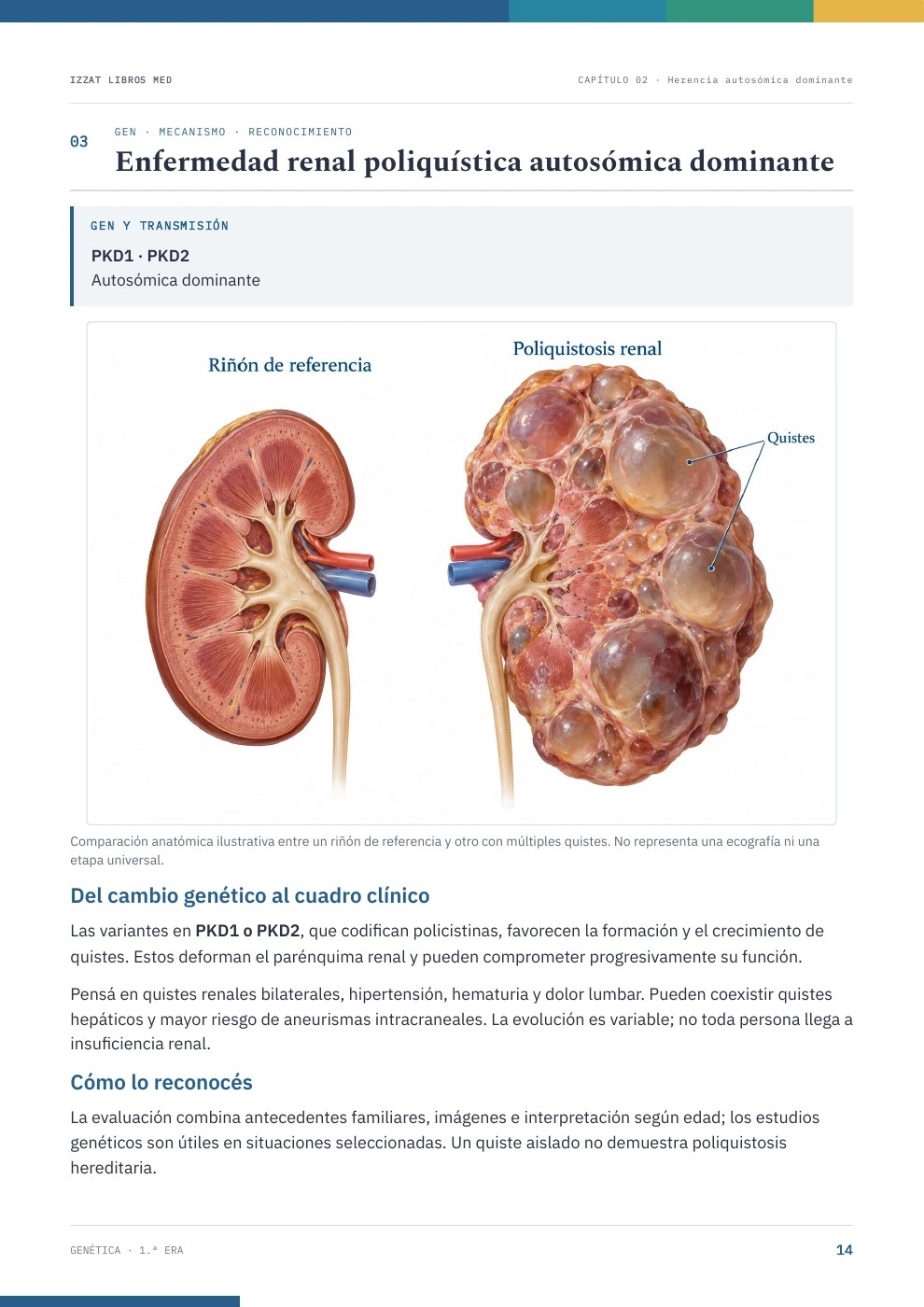 Página real de Genética 1ª ERA