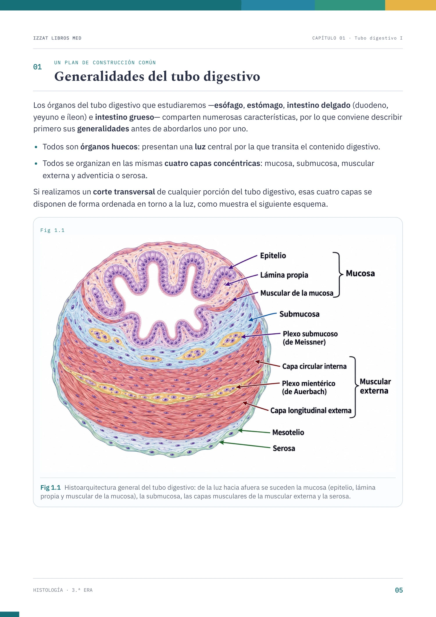 Página real de Histología 3ª ERA